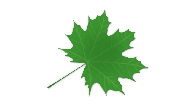 maple leaf 3D Модель .c4d .max .obj .3ds .fbx .stl .blend 