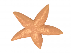 starfish 3D मॉडल