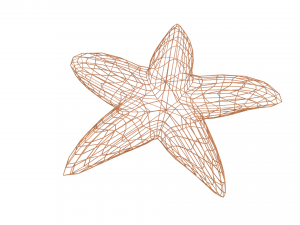 starfish 3D मॉडल