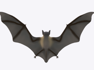 bat Modello 3D