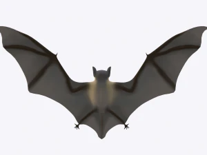 pipistrello Modello 3D