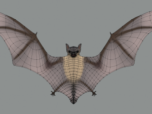 bat Modello 3D