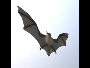 pipistrello Modello 3D