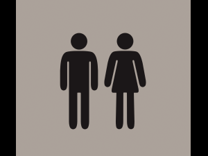 bathroom silhouettes 3D 模型