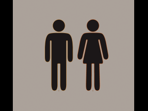 bathroom silhouettes 3D Model