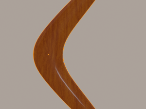 boomerang 3D Model