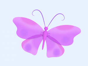 butterfly 3D 模型