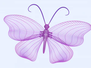 butterfly 3D Model