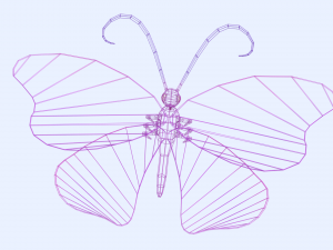 butterfly 3D 模型