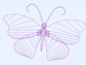 butterfly 3D Model