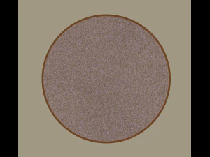 carpet 3D Model