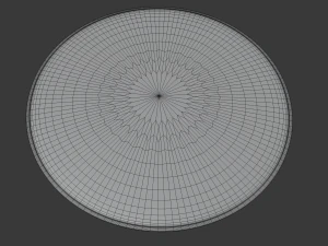 carpet 3D Model