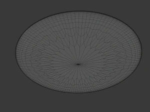 carpet 3D Model
