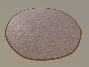 carpet 3D Model