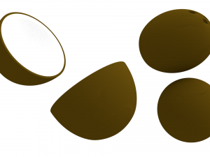 coconut and coconut open 3D Model