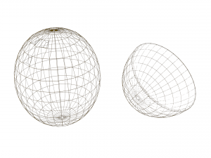 coconut and coconut open 3D Model