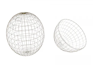 coconut and coconut open 3D Model