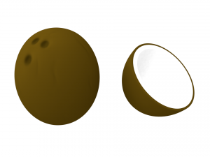coconut and coconut open 3D Model