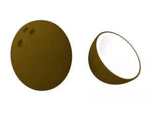 coconut and coconut open 3D Model