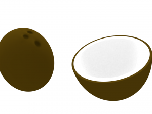 coconut and coconut open 3Dモデル