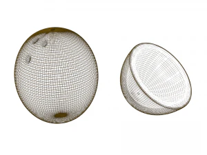 coconut and coconut open 3D Model