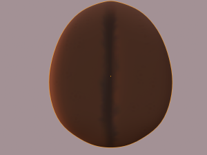 coffee bean Modelo 3D