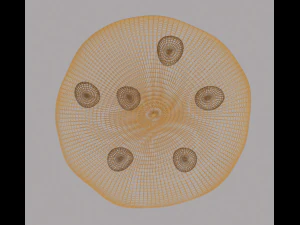 печенье 3D Модель