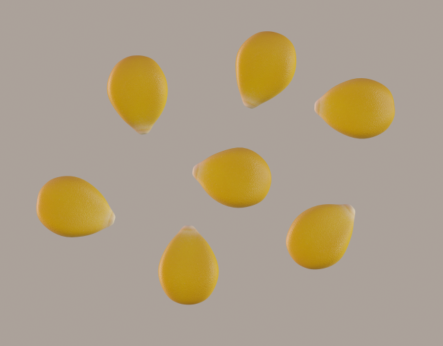 corn kernel Modello 3D .c4d .max .obj .3ds .fbx .stl .blend 