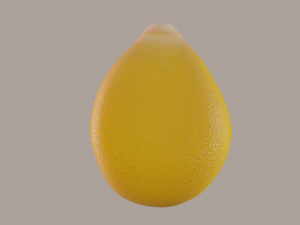 corn kernel Modello 3D