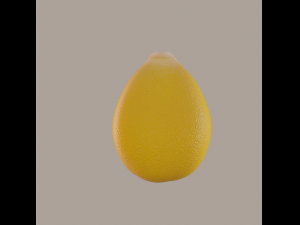 corn kernel Modello 3D