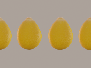 corn kernel Modello 3D