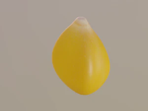 ziarno kukurydzy Model 3D