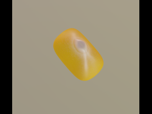 corn kernel Modello 3D