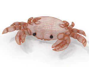 crab rigged orange 3D Model