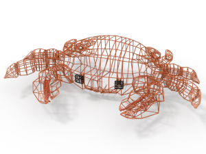 crab rigged orange Modèle 3D