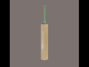 cricket bat 3D Model