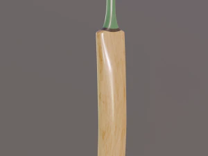 cricket bat 3D Model