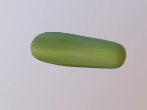 cucumber 3D Model
