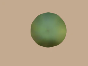 cucumber 3D Model