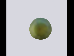 cucumber 3D मॉडल