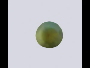 cucumber 3D Model