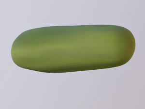cucumber 3D Model