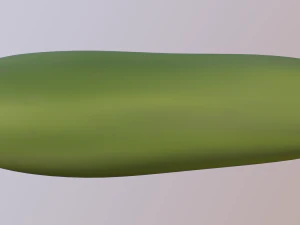 cucumber 3D Model