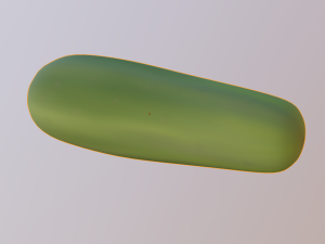 cucumber 3D मॉडल