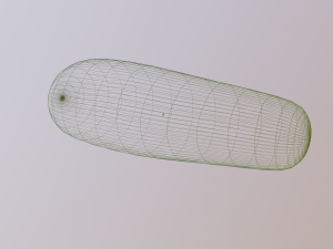 cucumber 3D मॉडल