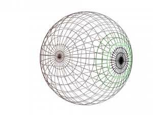eye Model 3D