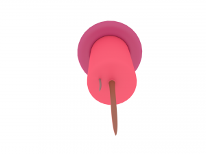 firework Modello 3D