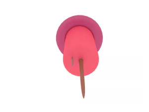 fuochi d'artificio Modello 3D