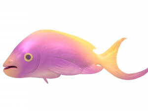 fish purple-yellow Modelo 3D