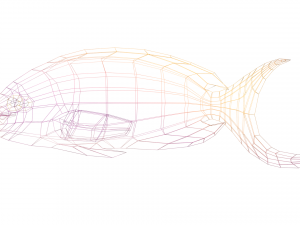 fish purple-yellow Modelo 3D